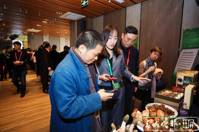 滬滇合作助力脫貧 云南森林生態(tài)產(chǎn)品亮相上海.jpg