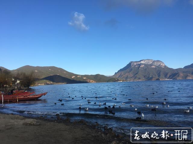 劃定生態(tài)紅線、滇川共治共管 瀘沽湖保護(hù)的退與進(jìn) (10).jpg