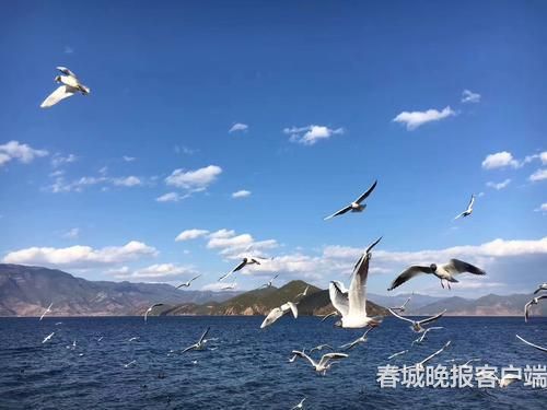 瀘沽湖整治出重拳 春城晚報記者 木曉雯 攝1