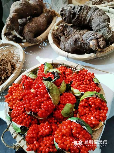 IMG_0005(20191207-185848) IMG_0005(20191207-185848)