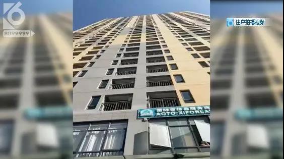 昆明一小區(qū)驚現(xiàn)高空拋狗