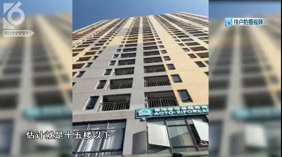 昆明一小區(qū)驚現(xiàn)高空拋狗