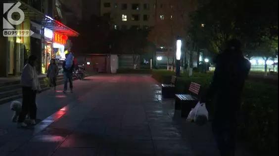 昆明一小區(qū)驚現(xiàn)高空拋狗