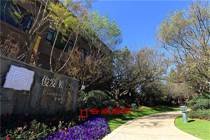 20191208072811_8636 20191208072811_8636