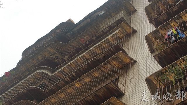 201704161636495LDXZK 201704161636495LDXZK