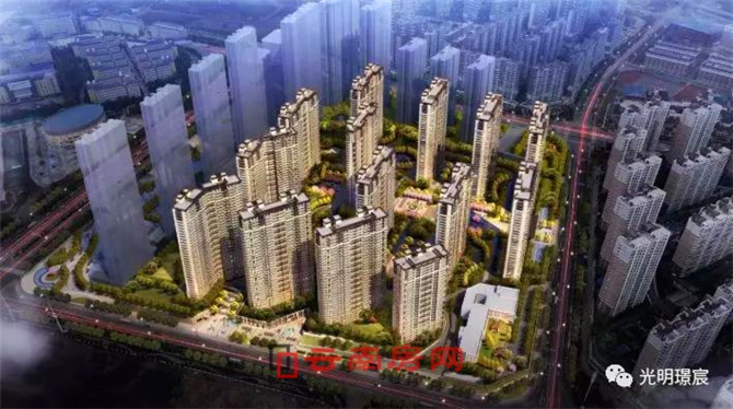 20191209175028_8252 20191209175028_8252