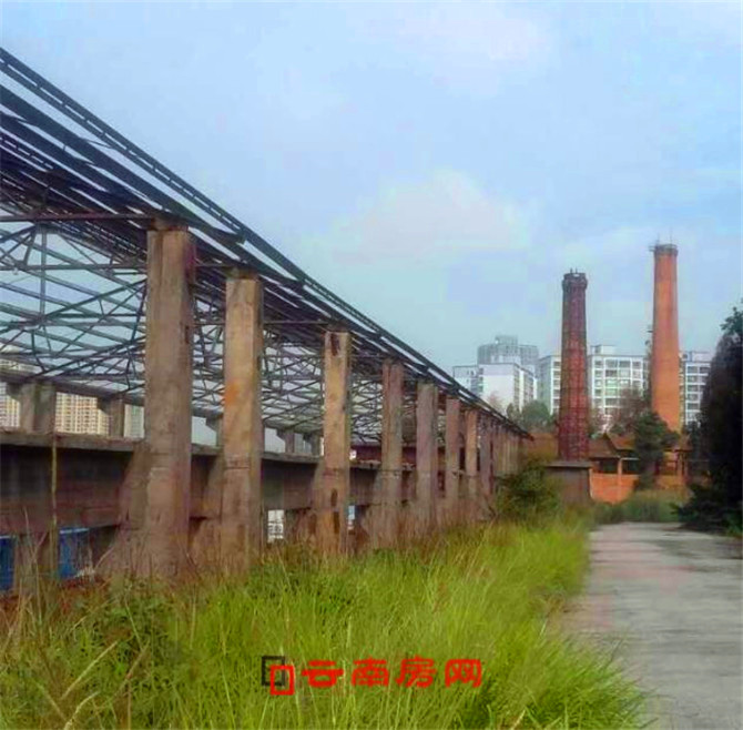 20191209075351_7336 20191209075351_7336