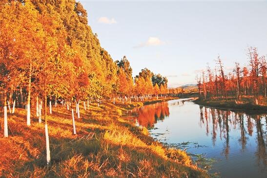 QQ截圖20191210081148