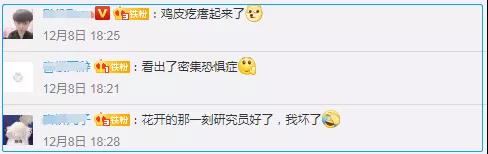 “寄生花”重現(xiàn)云南