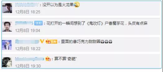 “寄生花”重現(xiàn)云南