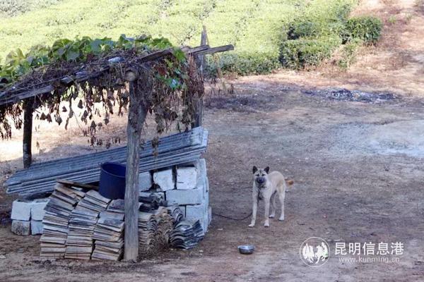 微信圖片_20191210225139 微信圖片_20191210225139