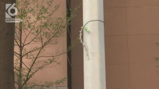 公交車被限高繩絆住