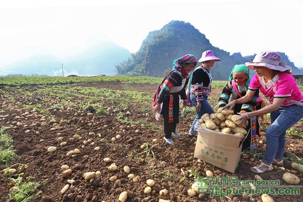 VHP2XAZQUA1 VHP2XAZQUA1