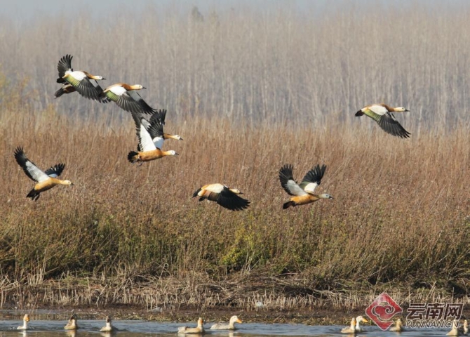 00301266503_dad17406 00301266503_dad17406