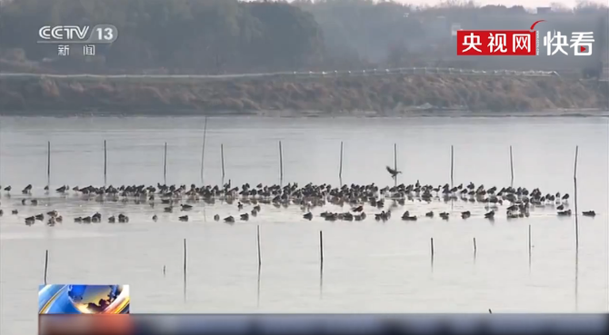 微信截圖_20191213164430 微信截圖_20191213164430