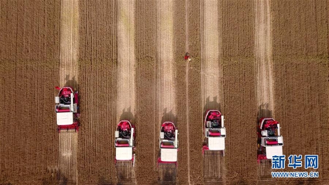 （新華全媒頭條·圖文互動(dòng)）（3）新華社評(píng)論員：為奪取全面建成小康社會(huì)偉大勝利而奮斗——一論貫徹落實(shí)中央經(jīng)濟(jì)工作會(huì)議精神