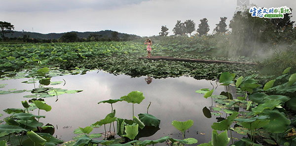 QQ截圖20191215142740