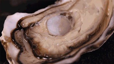 重磅！粵港澳大灣區(qū)再添黃金客運通道