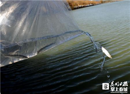 6f061d950a7b0208f7f3e2c8a65b18d6572cc86e 6f061d950a7b0208f7f3e2c8a65b18d6572cc86e