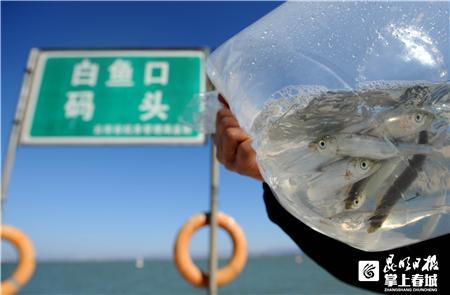 e1fe9925bc315c6087e264e449332116485477ca e1fe9925bc315c6087e264e449332116485477ca