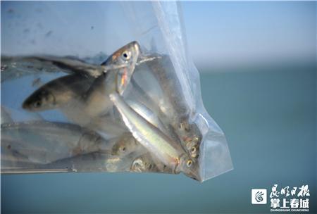 d439b6003af33a87415633be03defa3d5243b5e7 d439b6003af33a87415633be03defa3d5243b5e7