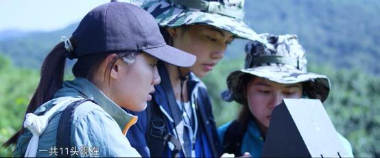 云南3名90后姑娘與大象“談判”