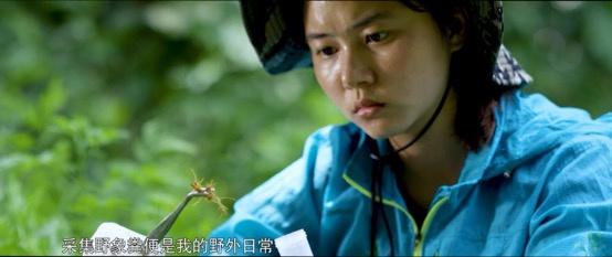 云南3名90后姑娘與大象“談判”