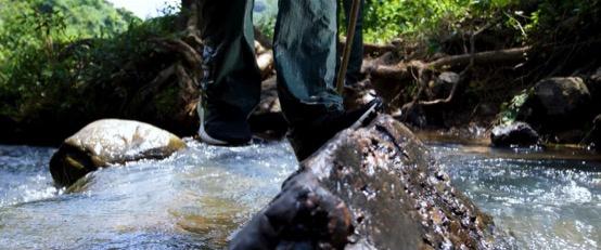 云南3名90后姑娘與大象“談判”