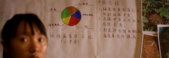 云南3名90后姑娘與大象“談判”