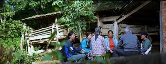 云南3名90后姑娘與大象“談判”