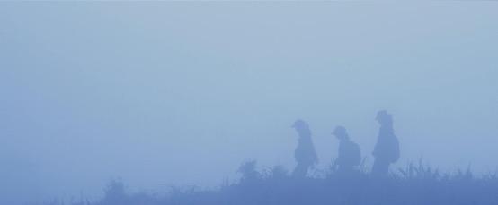 云南3名90后姑娘與大象“談判”