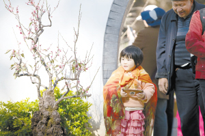 26691576689578521 26691576689578521