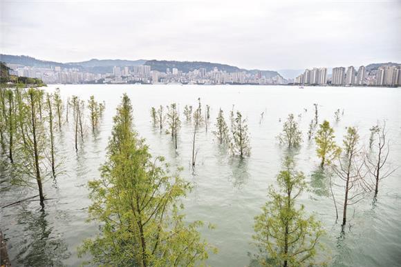 ·‘’.webp ·‘’.webp