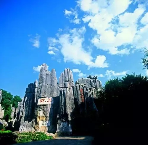 4.webp (1) 4.webp (1)