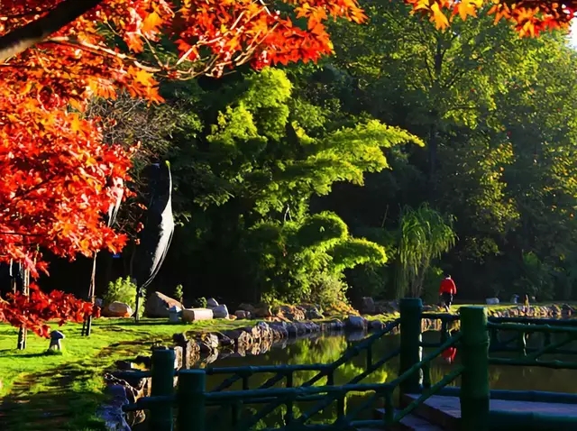 5.webp (3) 5.webp (3)