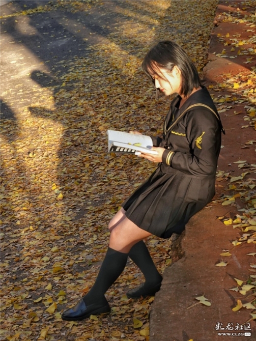 一名學(xué)生在云大銀杏樹(shù)下讀書(shū) 彩龍社區(qū)網(wǎng)友云勻攝