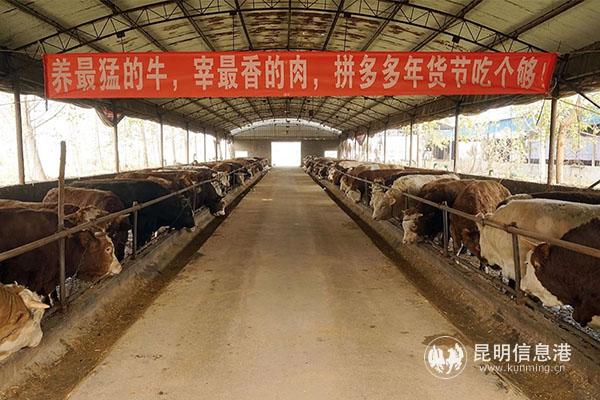 20191220_112455 20191220_112455