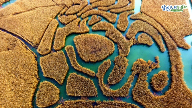 1576718970899_744 1576718970899_744