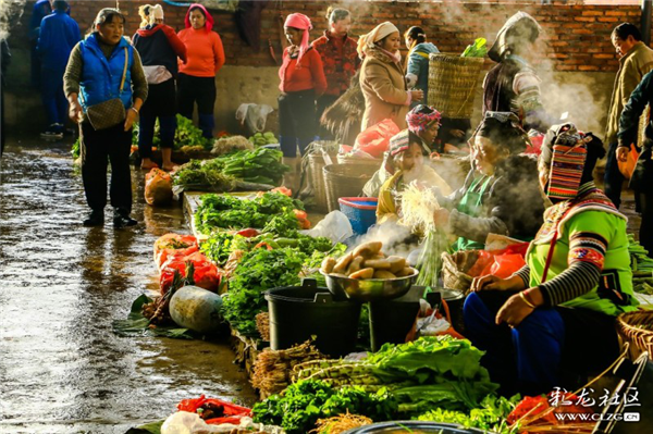 《菜場人生》 彩龍網(wǎng)友@路人悠悠 攝 《菜場人生》 彩龍網(wǎng)友@路人悠悠 攝