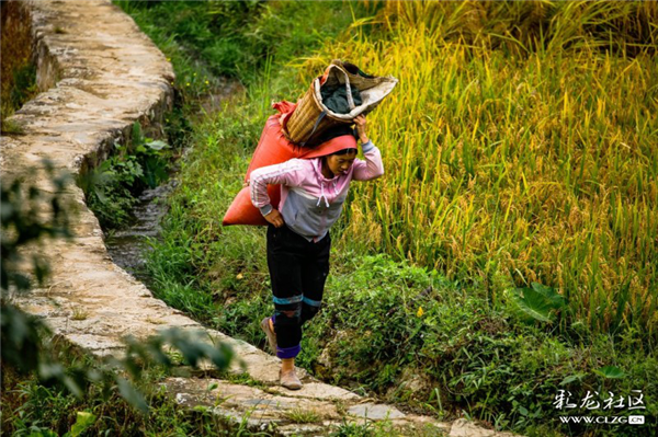 《震撼:哈尼女人的脊梁》彩龍網(wǎng)友@路人悠悠 攝 《震撼:哈尼女人的脊梁》彩龍網(wǎng)友@路人悠悠 攝