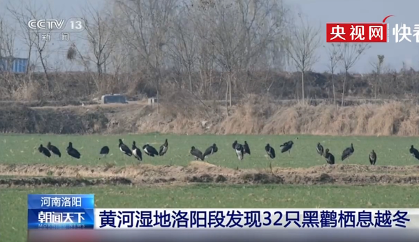 QQ截圖20191222162016