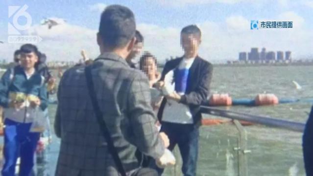 游客抓海鷗嬉戲拍照