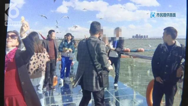 游客抓海鷗嬉戲拍照