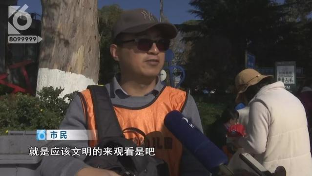 游客抓海鷗嬉戲拍照