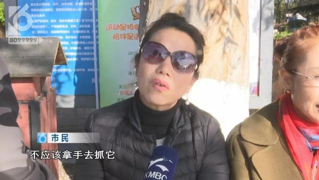 游客抓海鷗嬉戲拍照