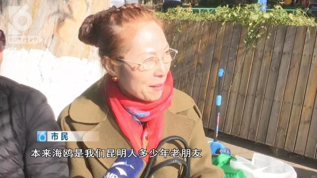 游客抓海鷗嬉戲拍照