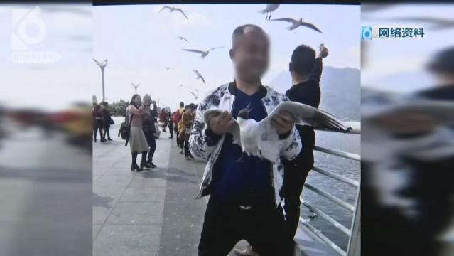 游客抓海鷗嬉戲拍照