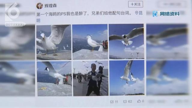 游客抓海鷗嬉戲拍照