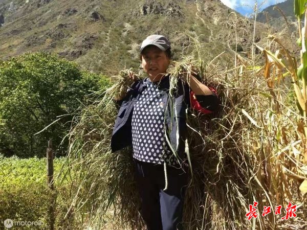 點(diǎn)擊查看高清原圖