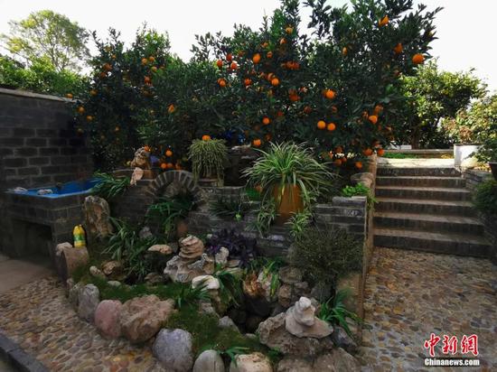 郭家壩村農(nóng)家小院